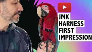 Parrot Harness Review: New JMK Parrot Harness | First Impressions