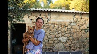 Daily Life Alone on the Homestead and Up-cycling Pallet Wood