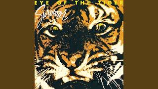 Eye of the Tiger