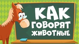 КАК ГОВОРЯТ ЖИВОТНЫЕ? Звуки животных для детей || Учим животных для самых маленьких