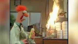 Dr. Bunsen Honeydew & Beaker Montage - 24 Clips