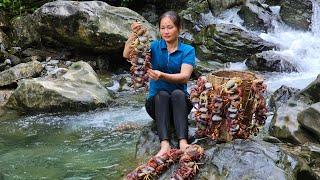Harvesting Crabs Go To The Market sell - Prepare Dishes From Crabs | Lý Phúc An