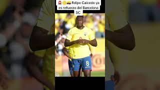 🟡 Felipe Caicedo ya es refuerzo del Barcelona SC #barcelona #futbol #felipecaicedo