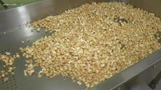Sweet or savory? How to make gourmet popcorn with Will Ujek at The Chagrin Falls Popcorn Shop