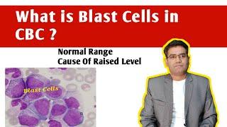 What is Blast Cells in CBC ? Normal Range, Causes of high blast in Blood Smear