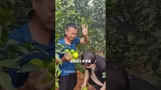 被問：為什麼不借全紅嬋熱度宣傳？聽到哥哥脫口而出的一句話，暴露內心真實想法