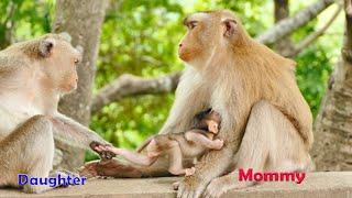 Beloved Family...Mommy Joanna Monkey Gives A Good Permission To Melona To Touch And Feel Younger Sis