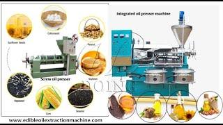 Rapeseed oil processing machine