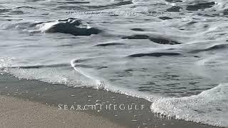 Search The Gulf. Gulf Coast Homes. Sotheby's International Realty