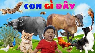 Learn Animals | Farm Animals Names & Sounds - Cow, Buffalo, Dog, Cat, Pig, Duck, Donkey...