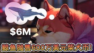 鲸鱼抛售600万美元柴犬币！Floki和Bonk近日同样暴跌！预示更大规模的加密市场崩盘？｜Cryptonews