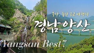 경상남도 양산 여행  best 7 ㅣ부산, 울산 근교 여행하기 좋은 곳ㅣ황산공원ㅣ임경대ㅣ양산타워ㅣ법기수원지 편백숲ㅣ홍룡사 (홍룡폭포)ㅣ통도사ㅣ내원사와 계곡까지~