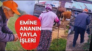 Emine annenin yayla evinde ki o yaşamı ..!