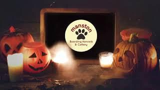 Happy Halloween Manston Boarding Kennels & Cattery!