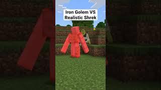 Iron Golem VS Realistic Shrek