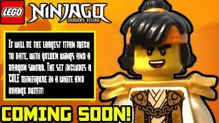 MASTER COLE Listing Leaked!  Ninjago Dragons Rising Season 2 News!