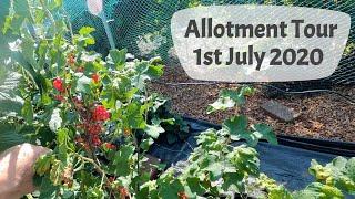 Allotment Tour, 1st July 2020