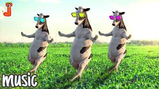 3 COW DANCE VIDEO FUNNY for 4 minutes│Cow Song & Cow Videos 2024 | Funny Cow dance | cow | cattle