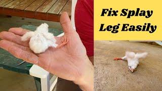 Easily Fix Splay Leg