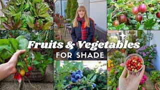10 Fruits & Vegetables That Grow In Shade - Container Gardening