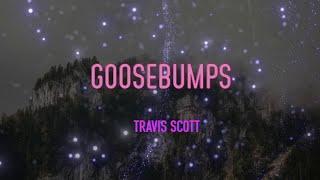 Travis Scott - Goosebumps Lyrics | When You Throw That To The Side, Yeah