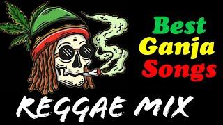 Reggae Mix 2024 (Chill Reggae Music Playlist) Chronixx Damian Marley Collie Buddz | Tina's Mixtape