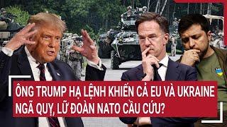 Thời sự quốc tế: Ông Trump hạ lệnh khiến cả EU và Ukraine ngã quỵ, lữ đoàn NATO cầu cứu?