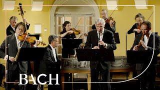 Bach - Brandenburg Concerto no. 4 in G major BWV 1049 - Sato | Netherlands Bach Society