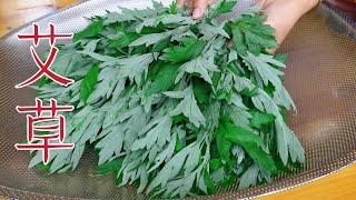 Mugwort: 98-Year-Old Grandma's Secret to Longevity! ヨモギ：98歳のおばあさんの長壽の秘訣！쑥: 98세 할머니의 장수 비결! 長壽草艾草健康秘訣