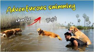 Adventurous swimming river | Digit and Charlie munege poyaru  | #swimming