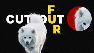 How to Select Animal FUR in Photoshop - Photoshop 2024 Tutorial