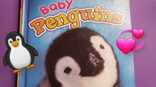 Kids Books | Baby Penguins by Kari Schuetz (Read Aloud) #kidsbooks #readaloud #animalbooks