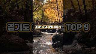 경기도 파주 맛집 TOP 10 #top #이슈 #소식 #맛집 #파주