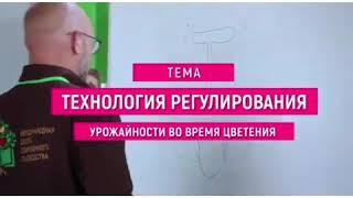 Небольшой видео-отчёт о 5 ступени обучения Международная школа садоводства