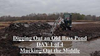 My Amazing Mini Excavator -Digging Out an Old Bass Pond - DAY 1 of 4