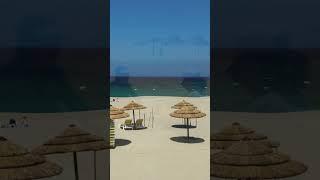 Ленивое утро на пляже
