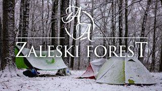 Winter Backpacking and Cozy Campfire Cooking | Zaleski State Forest 4K