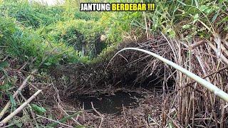 Pemancing liar mencari keberuntungan di sungai hutan rawa pasang surut #SG-183