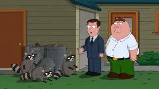 Peter Griffin hires an english to raccoon translator/Best of Family Guy