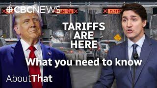 Trump's tariff war on Canada has finally begun | About That