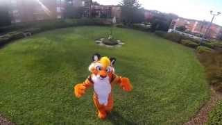 Air Balloon (Furry Music Video)