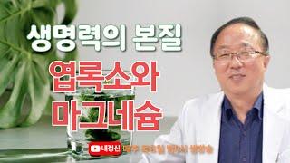 제72회 목요일 live : 한형선박사의 "생명력의 본질, 엽록소와 마그네슘"