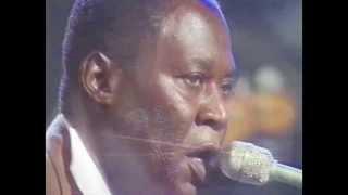 Memphis Slim - Forty Four Blues