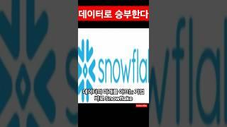 스노우플레이크(SNOW)