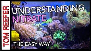 Nitrate In Your Reef Tank? (DON'T MAKE A PROBLEM OUT OF IT!)