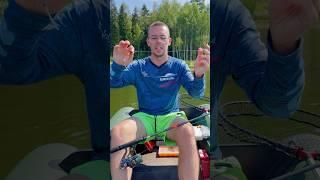 Для судака именно флюр #спиннинг #судак #рыбалка