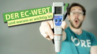 Alles über den EC-Wert