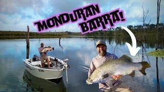 MY FIRST METER BARRA! - lake Monduran