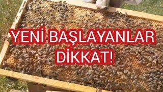 Kovanı açtığımızda neresine bakmalıyız