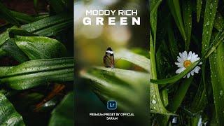 Moody Rich Green Preset - Trending Lightroom Presets Free Download | Moody Dark Preset